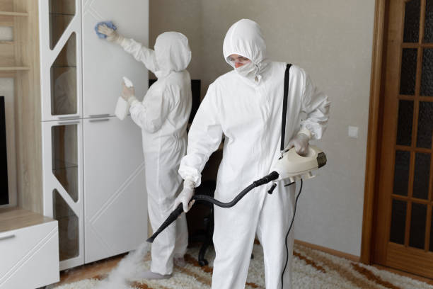 24/7 Emergency Odor Removal experts in Moline, MI